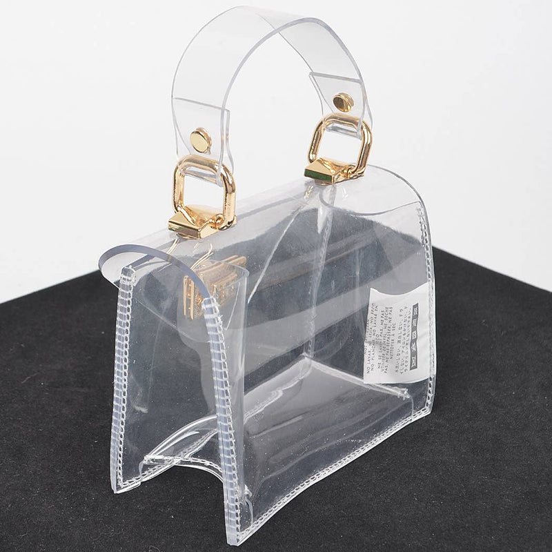 Transparent Top Handle Mini Bag