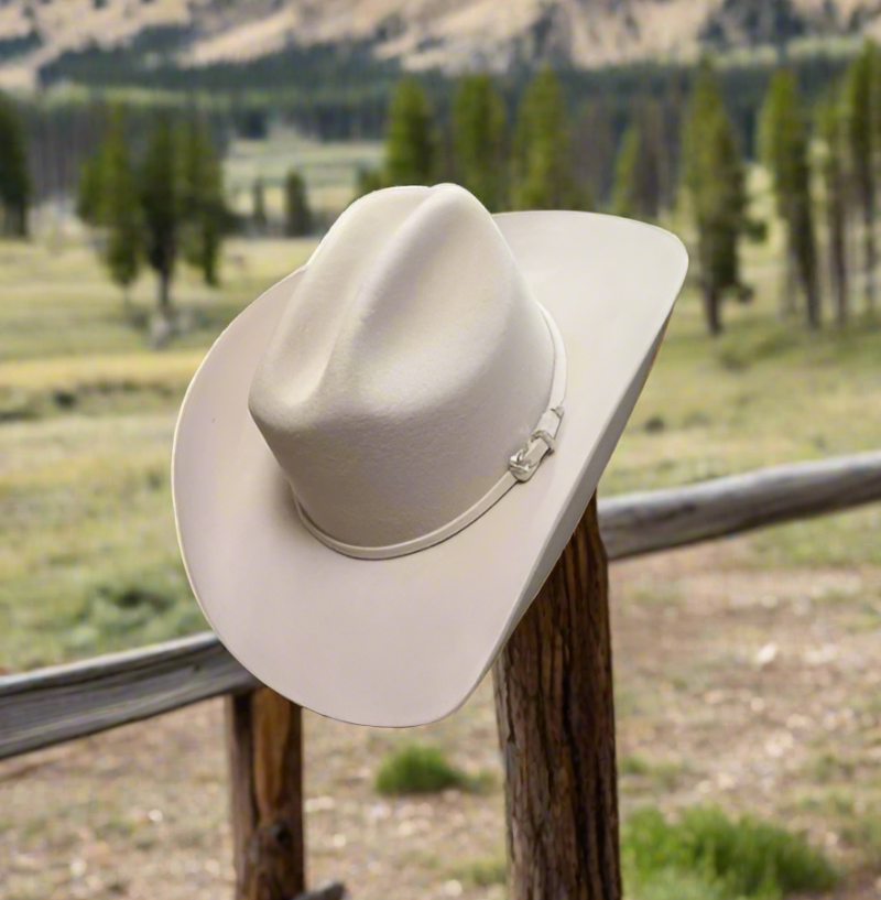 A cream-colored wool cowboy hat with a structured brim and sleek hatband, resting on a rustic wooden fence with rolling fields and trees in the background.