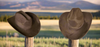 Yellowstone Cattleman Cowboy Vegan Suede Hat