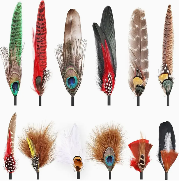 Asst Feathers for Western Hat Decor