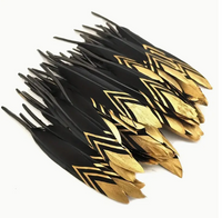Golden Duck Feather Asst