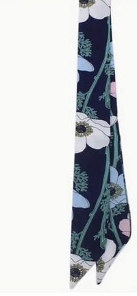 Thin Sliky Scarf - Asst Colors