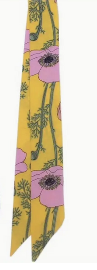 Thin Sliky Scarf - Asst Colors