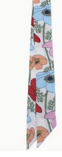 Thin Sliky Scarf - Asst Colors
