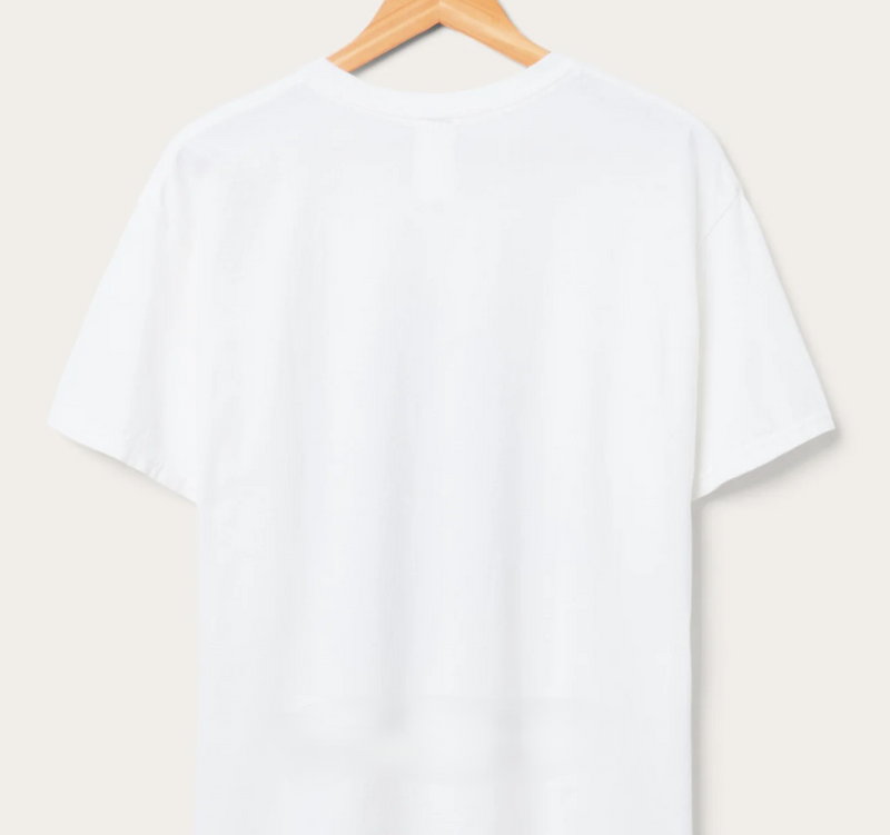 Unisex Beach Boys Spirit of America Band Tee